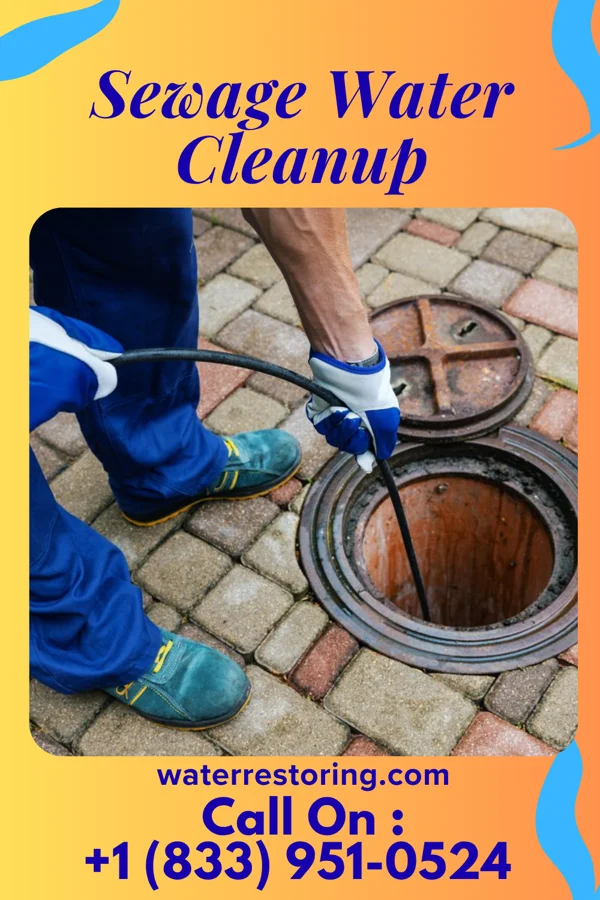Sewage Water Cleanup in Paynesville, MO