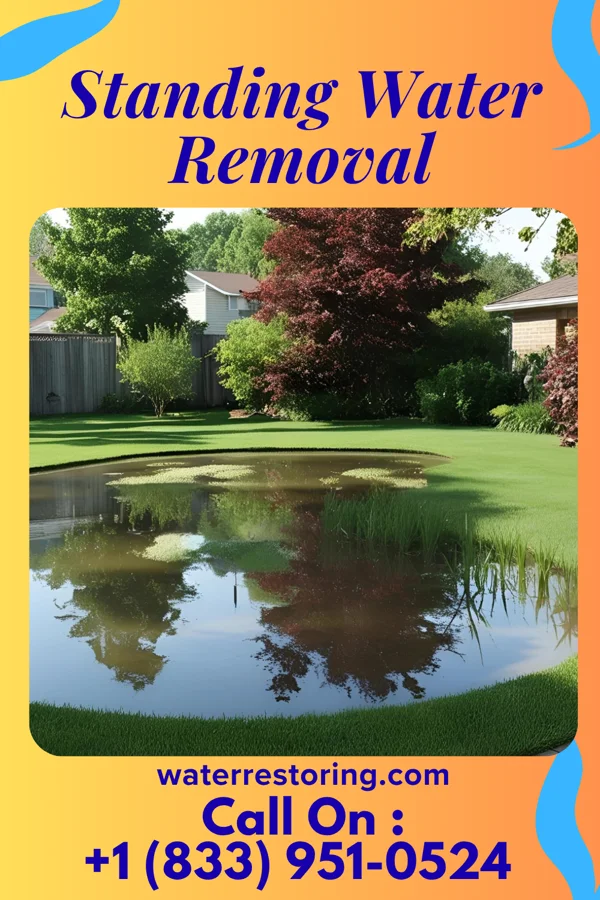 Standing Water Removal in Paynesville, MO